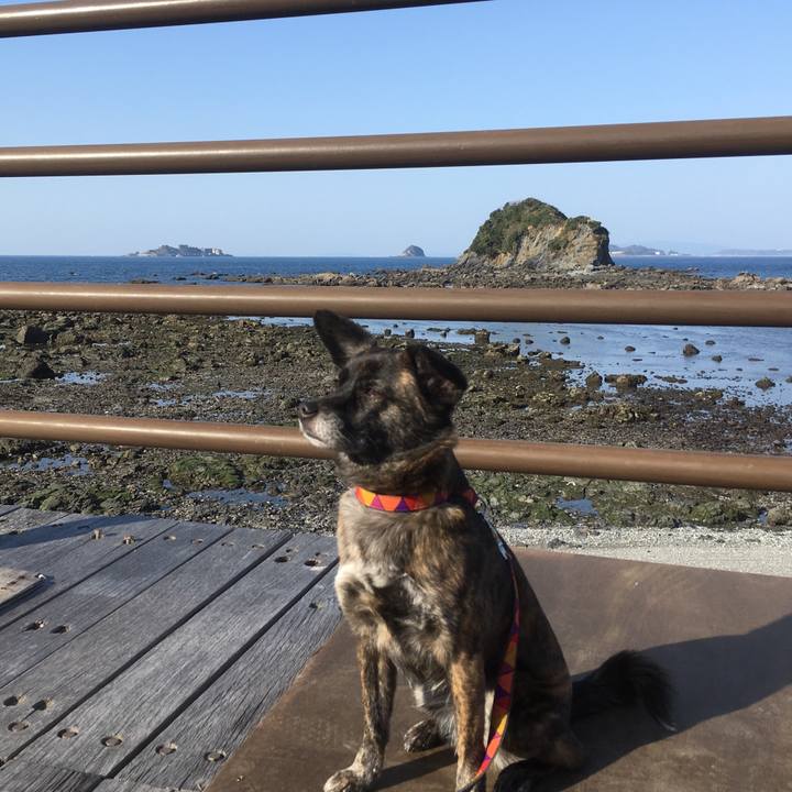 Fe253883 e427 49c9 bb68 b6b41724bb79 1515306895108