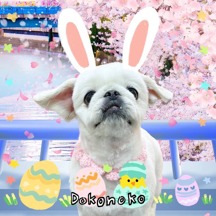 Fe255ba0 2ed1 4bf1 9195 f5f36956668d 1712558911913