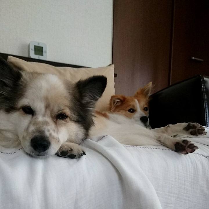 Fe2627a3 0f29 46a6 bdd5 7fb78d354605 1516164930096