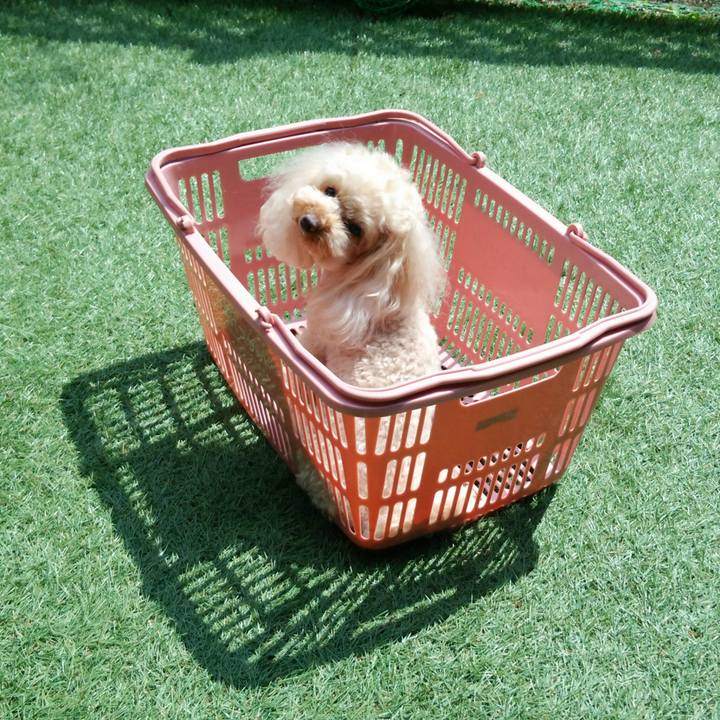 Fe26688c f36d 4a13 94c7 c311353c380d 1524208894434