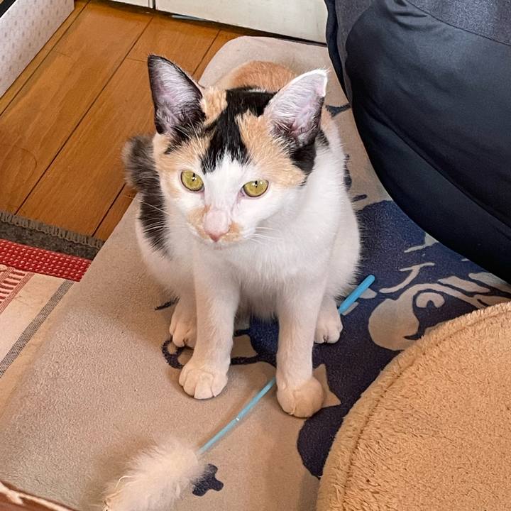 Fe26803c e89d 4380 9e24 883702dccd56 1667259505699