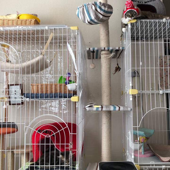 Fe268413 d160 44da 92a7 b47e4873f3d7 1553830859937