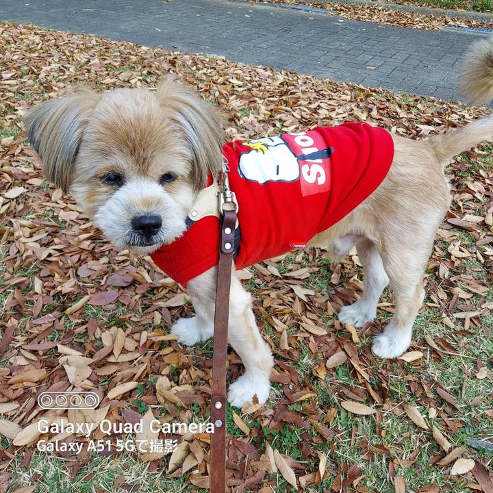 Fe2685f6 71f2 471c 9b86 1c0adbae5987 1668822673311