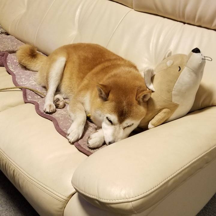 Fe2719c7 0701 409f ade6 bfb395b8bd51 1631957918618