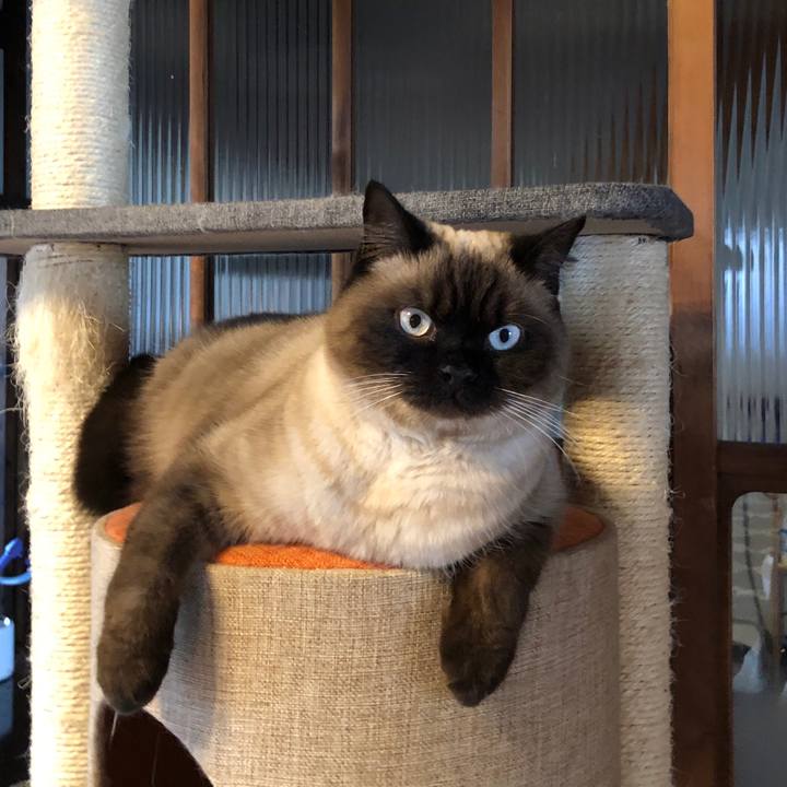 Fe271efe 3819 4722 86ac ea49290caeb9 1612180205969