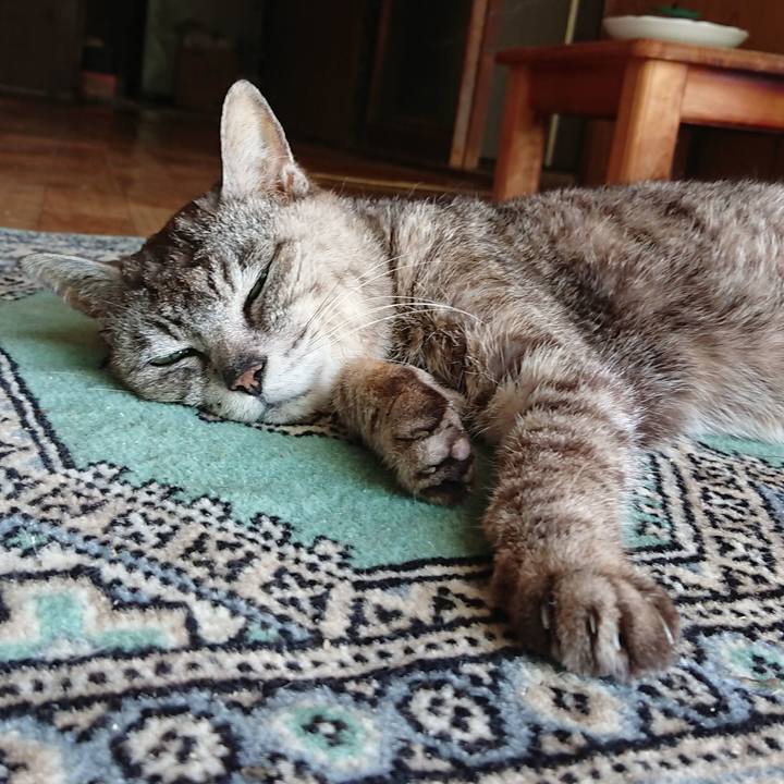 Fe2731fb a4fa 4d9c b676 4e8192f5ab1d 1596336444754