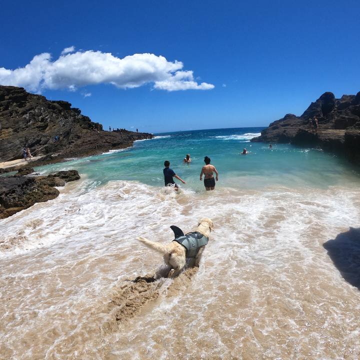 Fe2742d9 3f1d 42a3 8577 bfde494c3b80 1553827411696