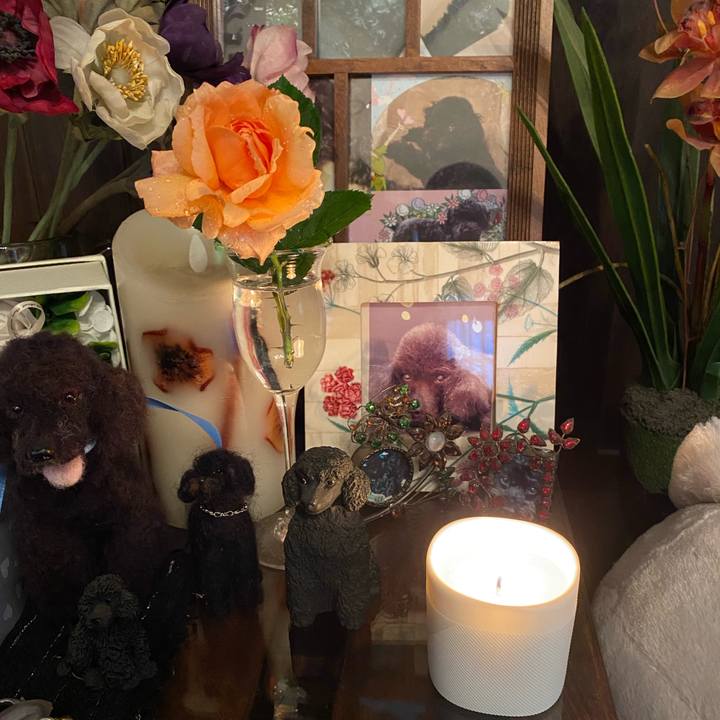 Fe27a4d6 b48e 4391 9617 dfdd8ba70a6d 1633048181919