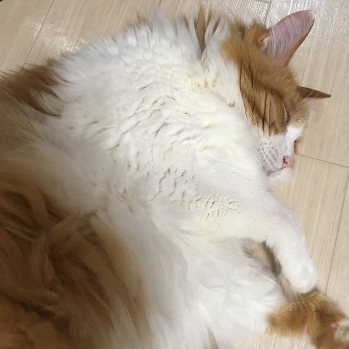 Fe27aaf1 de32 4f4f 9a14 3b171e410ebb 1529076304024