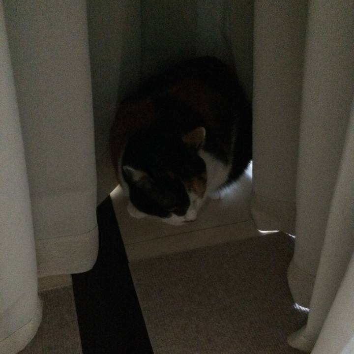 Fe27bea5 0265 4f41 862d 45881a932843 1597452205940