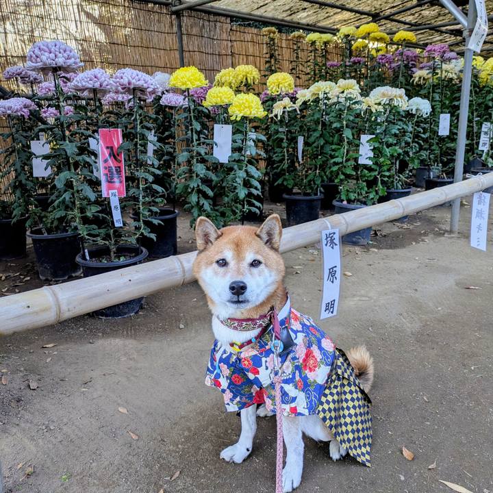 Fe27cf6e 04d3 4d15 b6d2 ce2ed512ae92 1762998184283