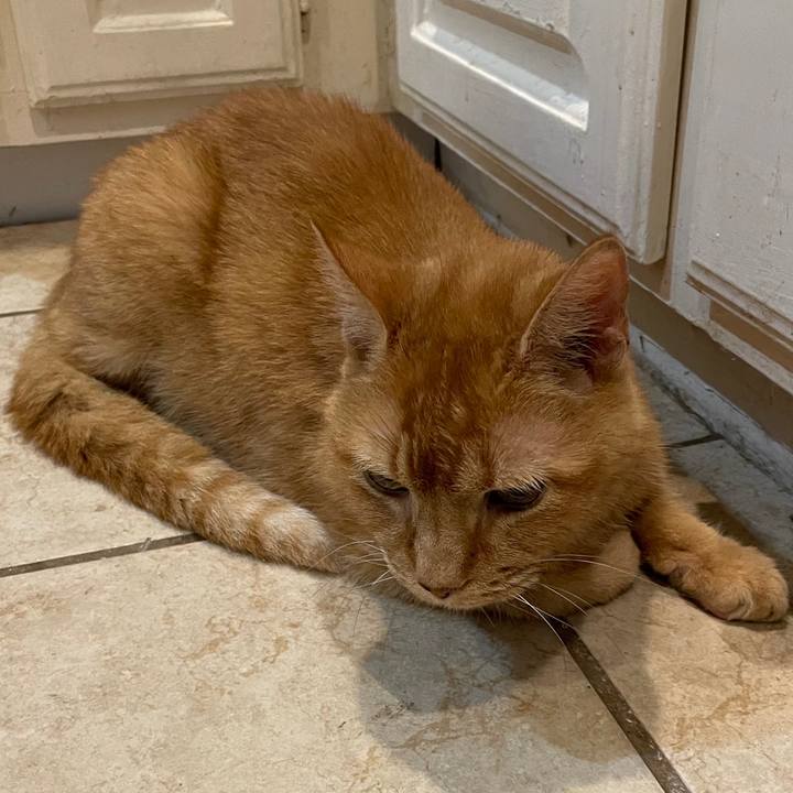 Fe28133a 2ff4 489b a9ab 527be1446961 1735177016233