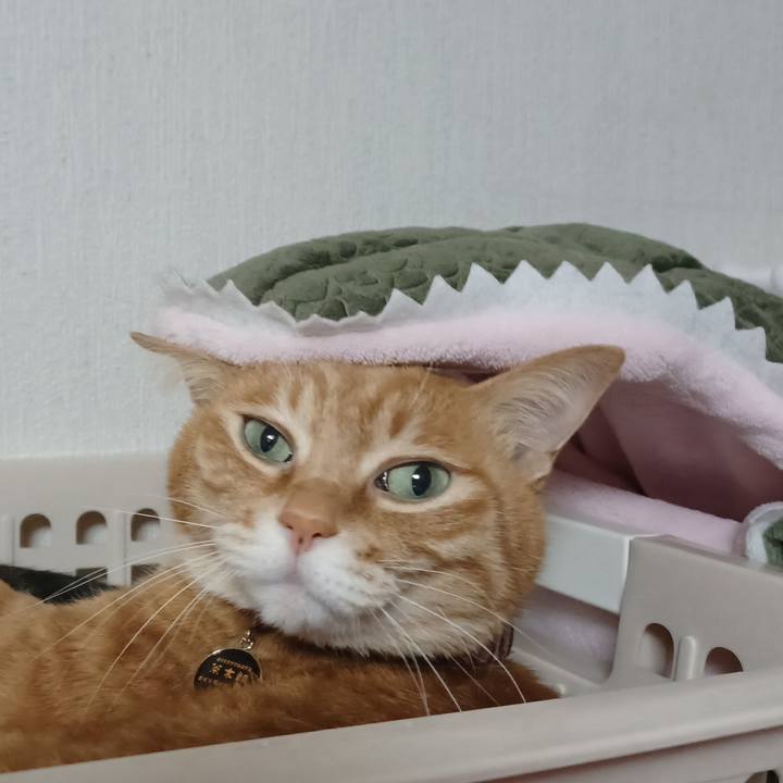 Fe285956 bdd7 4bfa 933f 05752976fea5 1646232731812