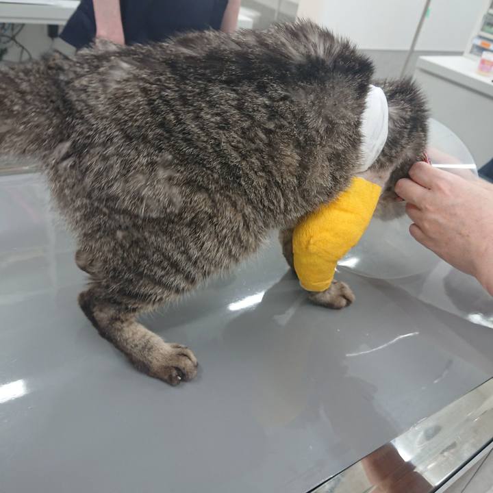 Fe285d67 9bb6 413e 9a69 57f66ed4680e 1586250431012