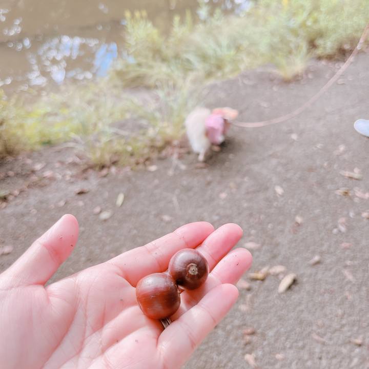 Fe28a813 7db4 47ab 810d b490251e0150 1665902994225