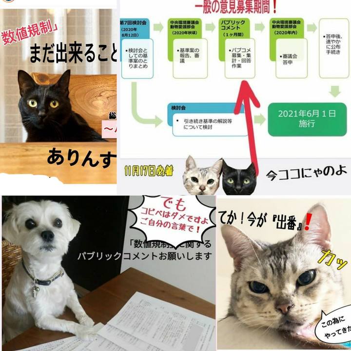 Fe28c687 b1d9 4bea 80b5 15868b97d288 1604388155515