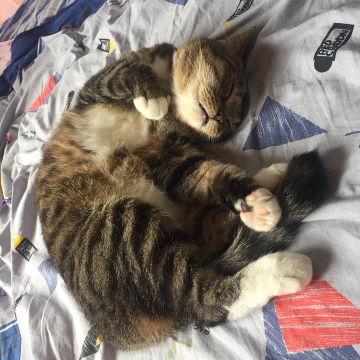 Fe293681 d581 40ab be9f 4028d8c2d567 1564116680025