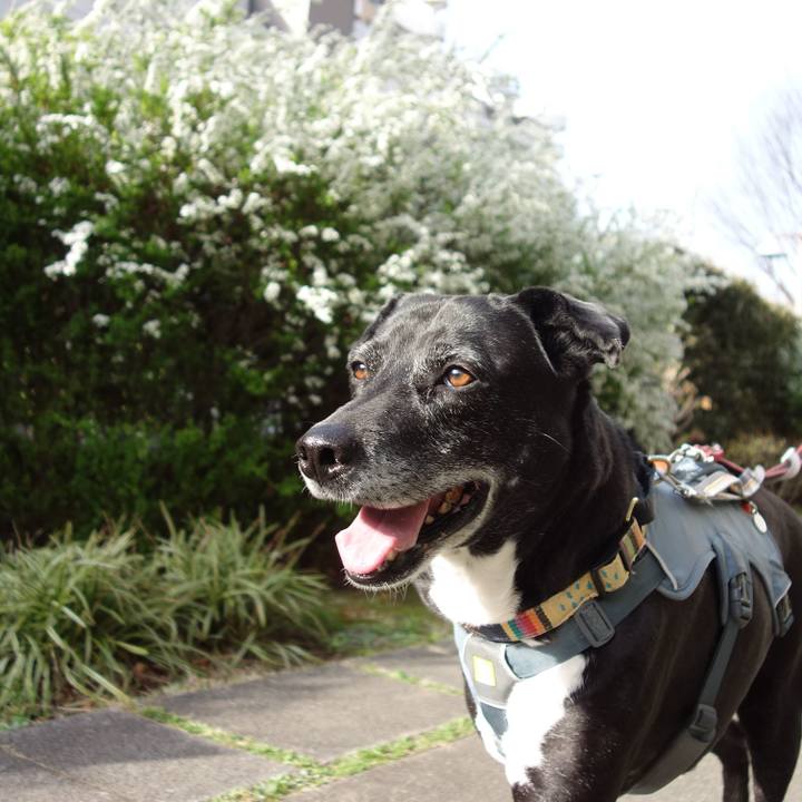 Fe294224 0e34 43e5 a7ee 5d367825f7a3 1742862976985