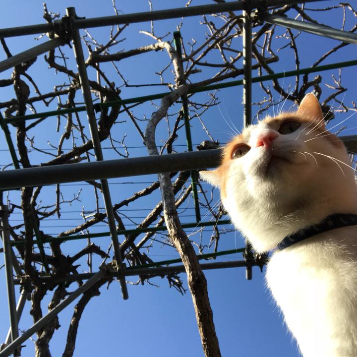 Fe29435f 9b92 41b4 b661 6f32f15ef69d 1511837800852