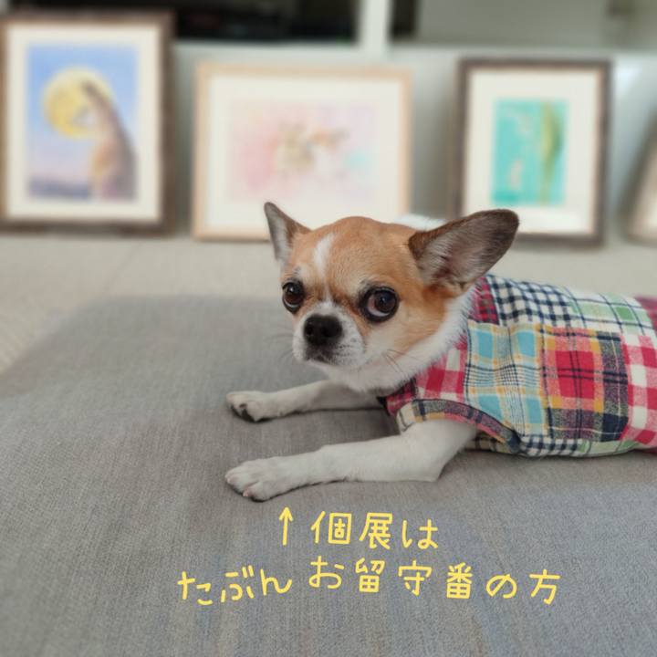 Fe295444 7b9e 4b01 b3e4 4d82924c2c17 1698015357467