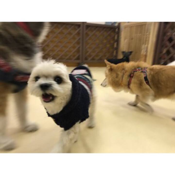 Fe298059 bfa5 45ff a001 dd591ccff49f 1513339560733