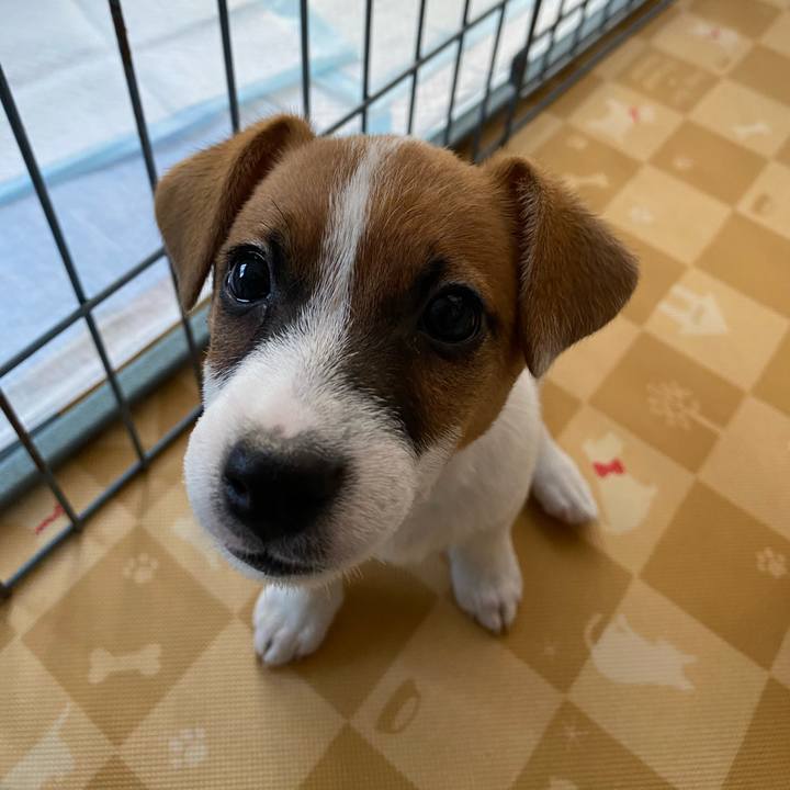 Fe29f4de 19ab 4f24 aec3 832b1ac4d6c2 1694852459666