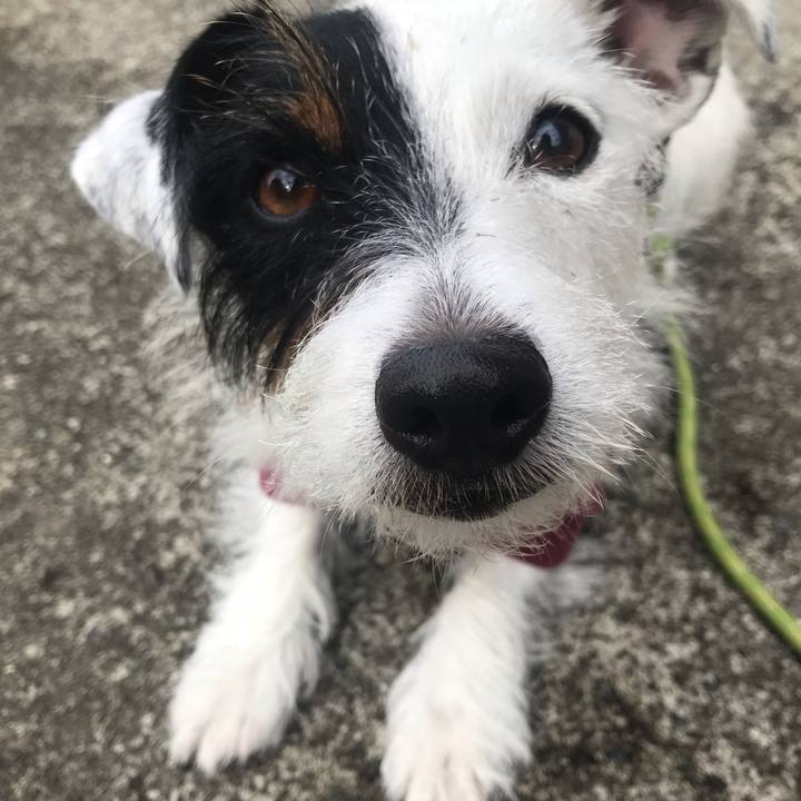 Fe2a0fa5 3e00 4d4e 8b38 1336772d9f8b 1541377615759