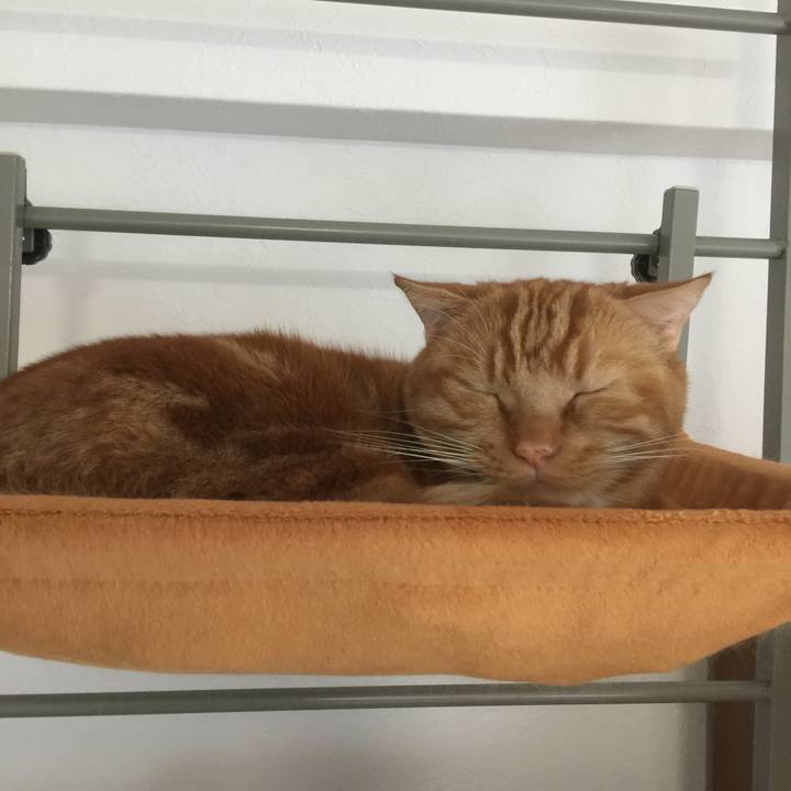 Fe2a1a4f 9851 420d 8517 6ec40b59b1e8 1572156782766