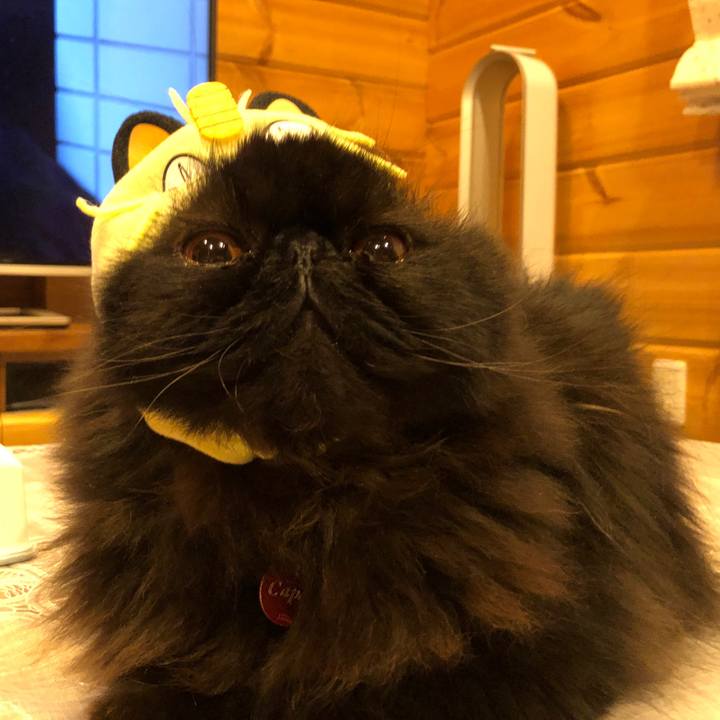 Fe2a3e89 3d06 459d 9b80 e1f16b0c3a63 1548514225957