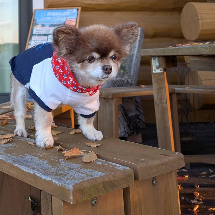 Fe2a5737 04e4 4c4a be0c 457b0f5b34bc 1763419736242