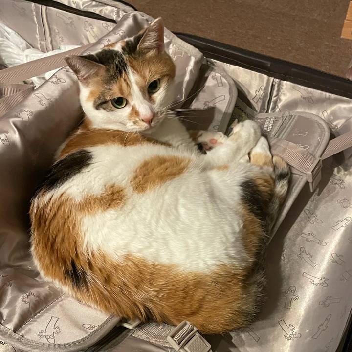 Fe2a6333 0882 4d60 8e68 d3adb9fbb45a 1690112510137