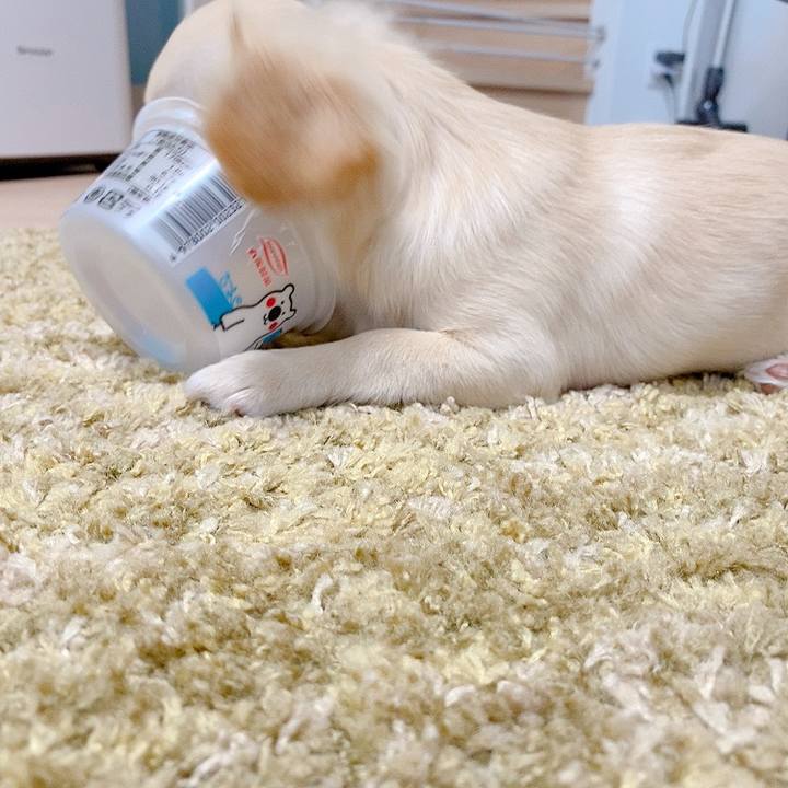 Fe2ae344 db9a 4c06 8545 681cd32ba43d 1597132901473