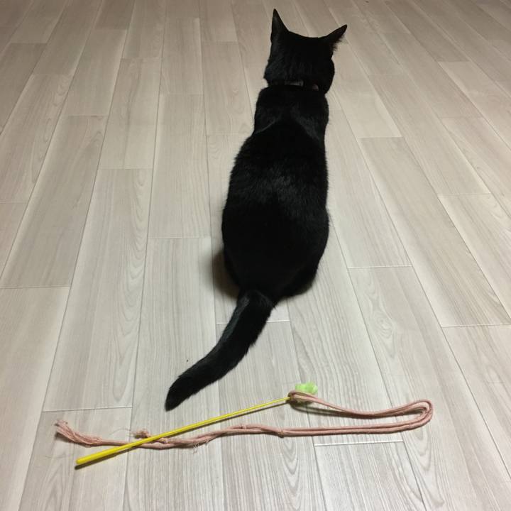 Fe2ae946 e7ee 4985 903b 64c8912d9631 1513244801733