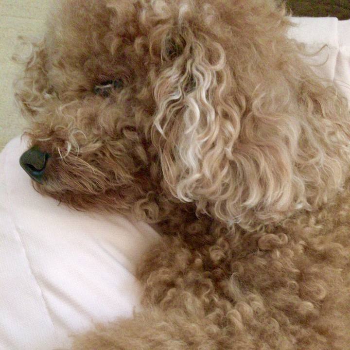 Fe2b2338 6590 4b05 9712 568bb235ac66 1593007773502