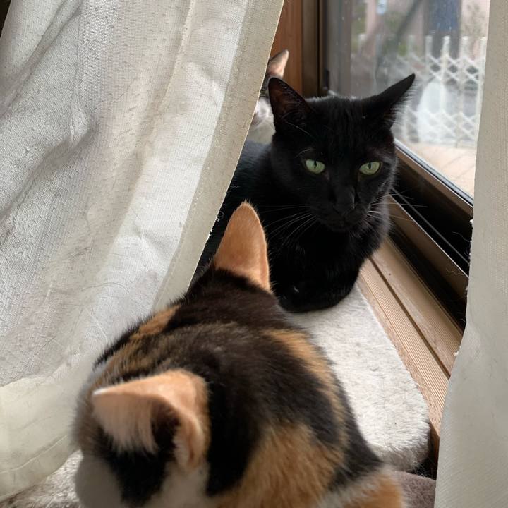 Fe2b48f3 6a18 4ec9 b030 69111449ef9a 1571361590498