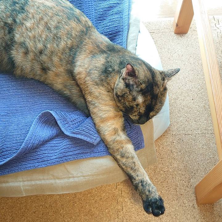 Fe2b7a07 926b 4c1a b227 672a87972c67 1753621035061