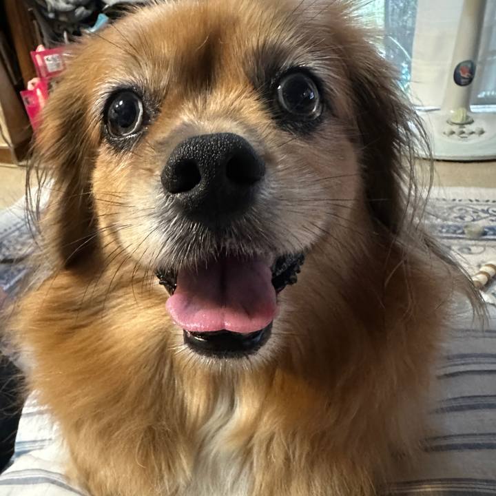 Fe2b9892 3a69 4dee a4b3 056366827483 1756934272259