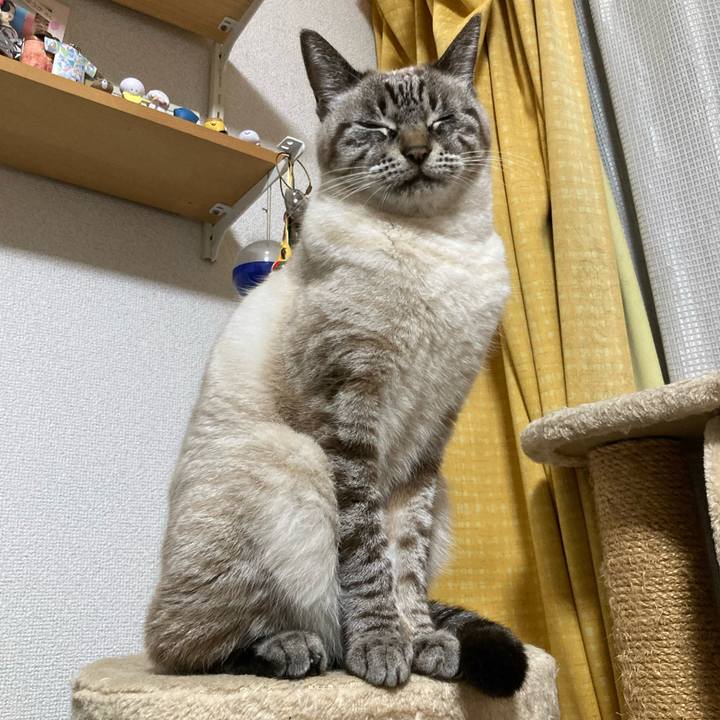 Fe2bc66d 1246 4210 84c4 5e5f2ffa18fe 1768130825158