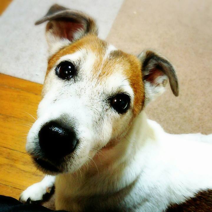 Fe2c16e2 0523 4b1d a17f 8f3289556090 1507719056973