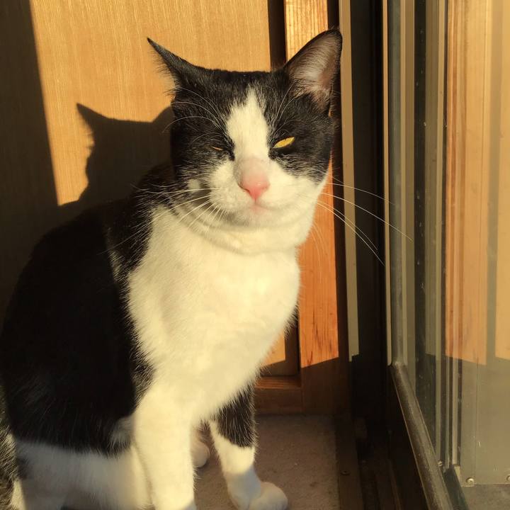 Fe2c3b88 eb51 438f ab3e 77adad680546 1673346835253