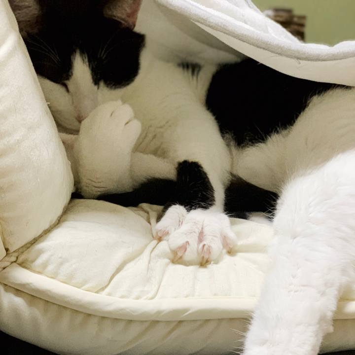 Fe2c4267 7dda 4652 93a8 015e8199c4a1 1551838247932