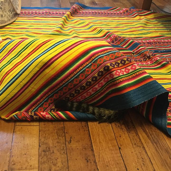 Fe2c7fbd 3835 4e5d a27b 33e5d188fdc0 1511993720118