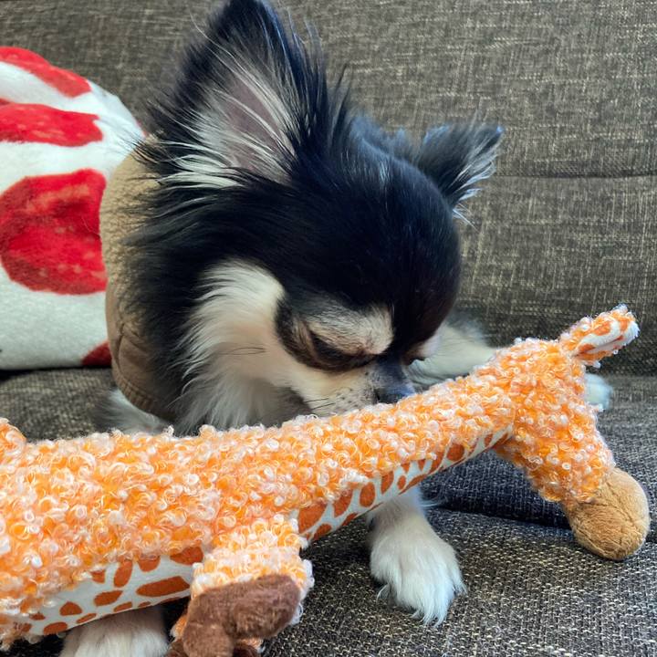 Fe2c8d32 a676 41fb a9c3 83774362f48f 1700892485267