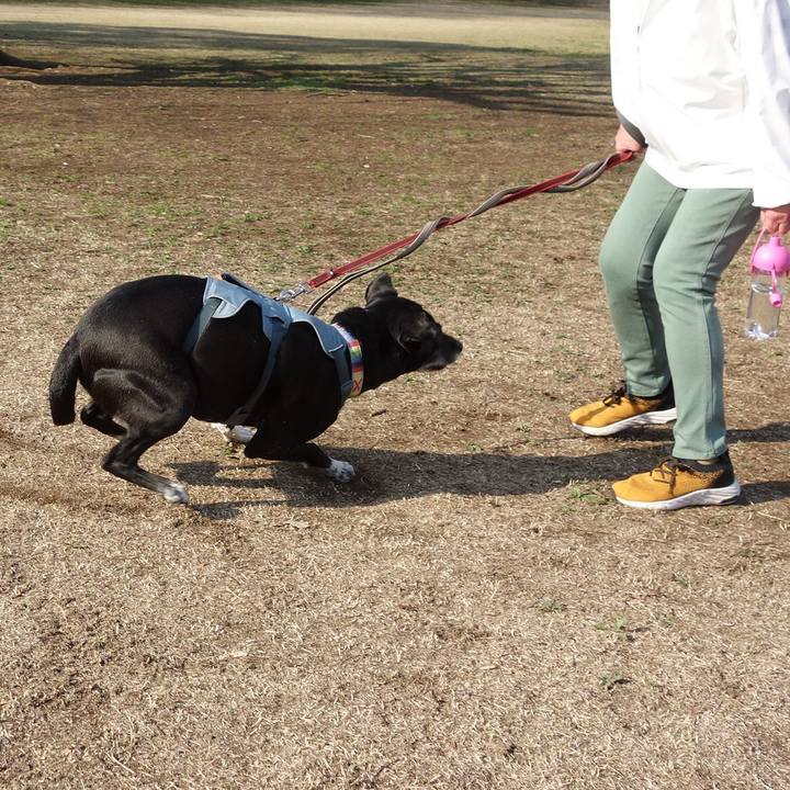 Fe2c8e33 ea86 4200 b271 008395fdd49f 1742692153534