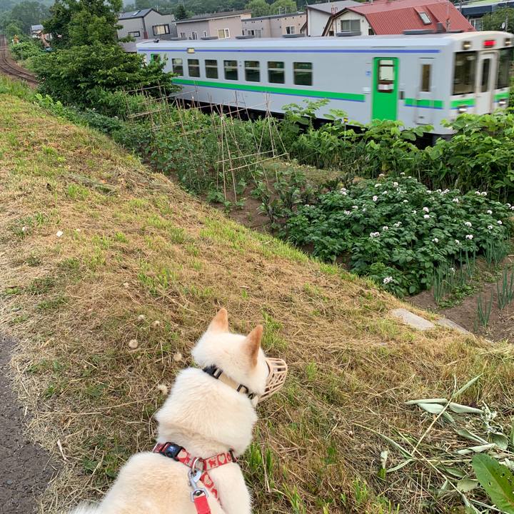 Fe2c9126 dbd6 49b1 b0b8 f88247638fbd 1562618817115