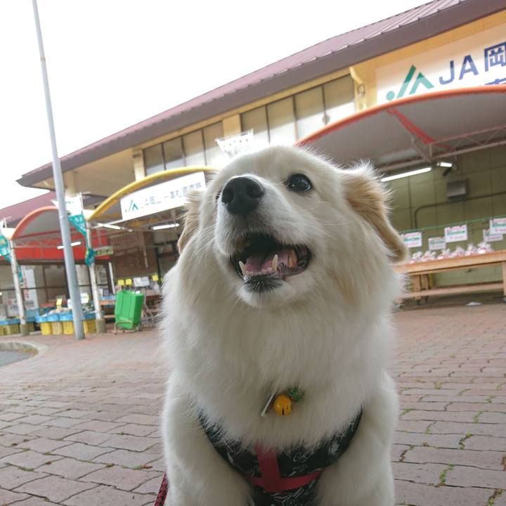 Fe2c98b3 c513 4940 8a57 f15e36a844bb 1525309761358