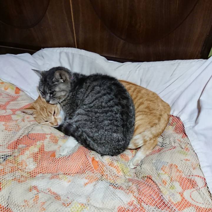 Fe2c9c94 f95b 43c3 930d 6ab25baacf25 1584884666133