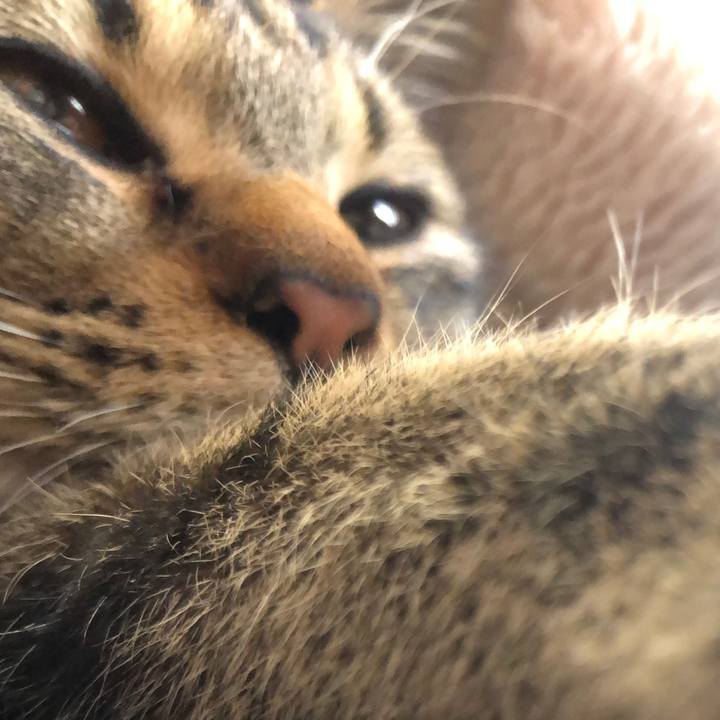 Fe2c9eb6 069c 4c2f b402 c36dd3942c60 1735518186886