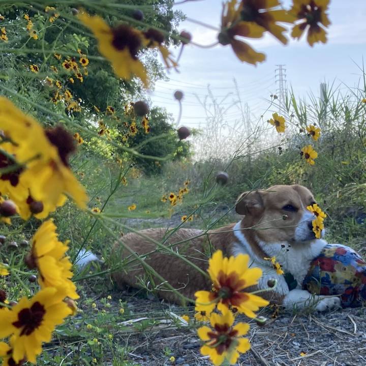 Fe2ca74f f59a 4b7f 88ca 5e65e60b4ea6 1718844364534