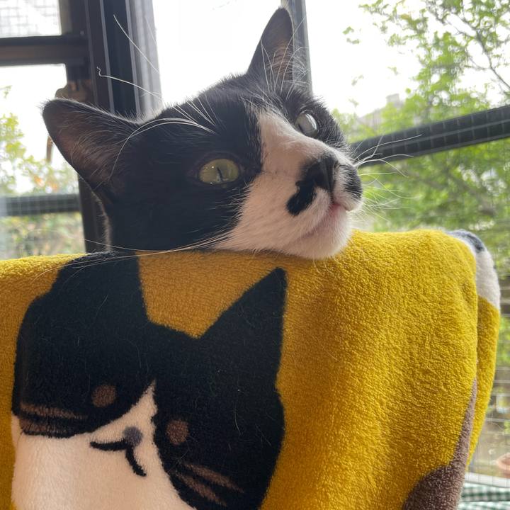 Fe2cb723 0f6a 4376 afb9 1370a00ee8d4 1651365805903